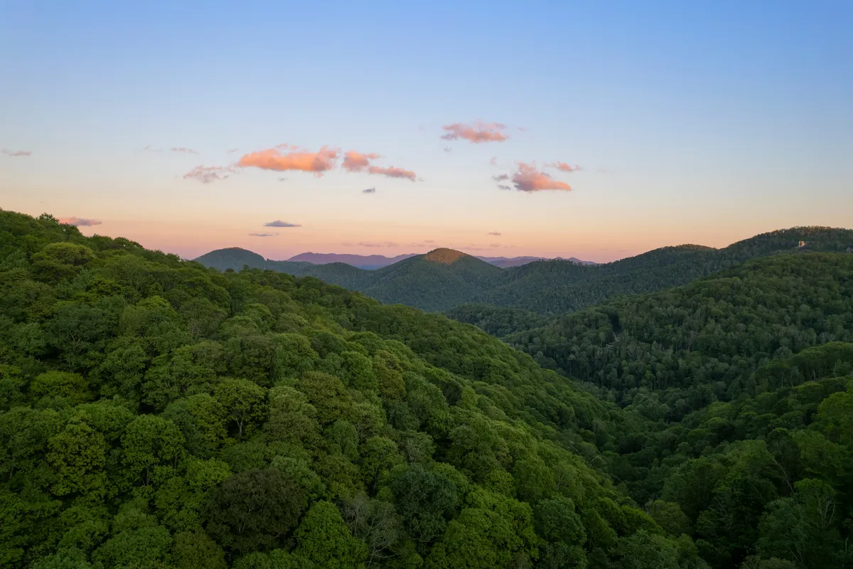 A panoramic view across lush green forest toward gently rolling mountains and a sky dotted with clouds. The vast landscape suggests hiking, exploration, and the serenity of the Pisgah National Forest and Appalachian Trail.